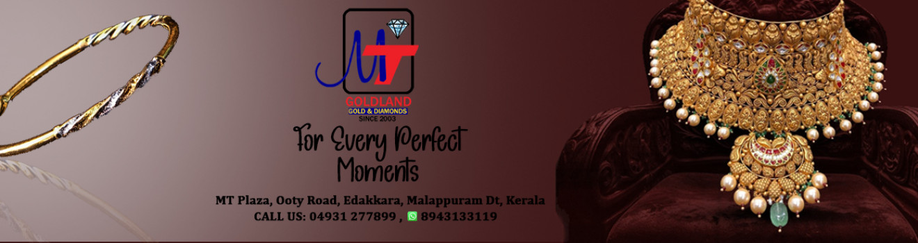 Image Caption